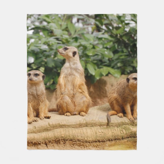 Couverture Polaire Meerkat 008 (Devant)