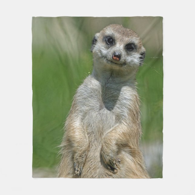 Couverture Polaire Meerkat 013 (Devant)