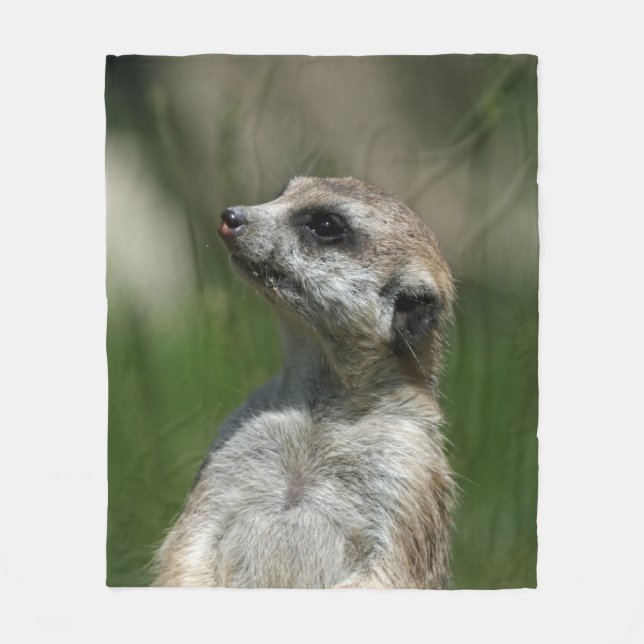 Couverture Polaire Meerkat 015 (Devant)