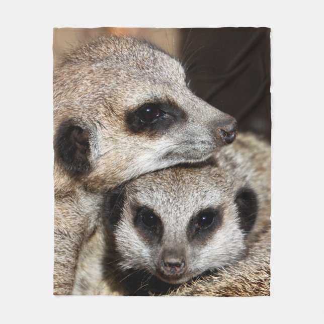 Couverture Polaire Meerkat 019 (Devant)