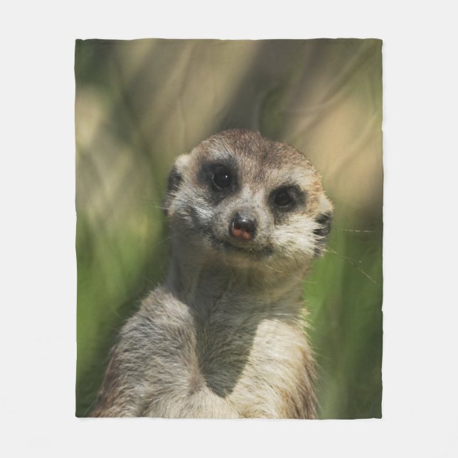 Couverture Polaire Meerkat 034 (Devant)