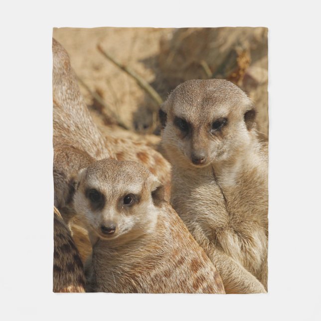 Couverture Polaire Meerkat 039 (Devant)