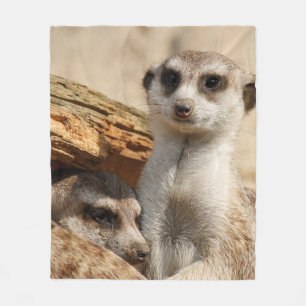 Couverture Polaire Meerkat 042