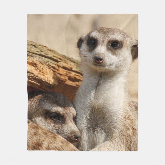 Couverture Polaire Meerkat 042 (Devant)