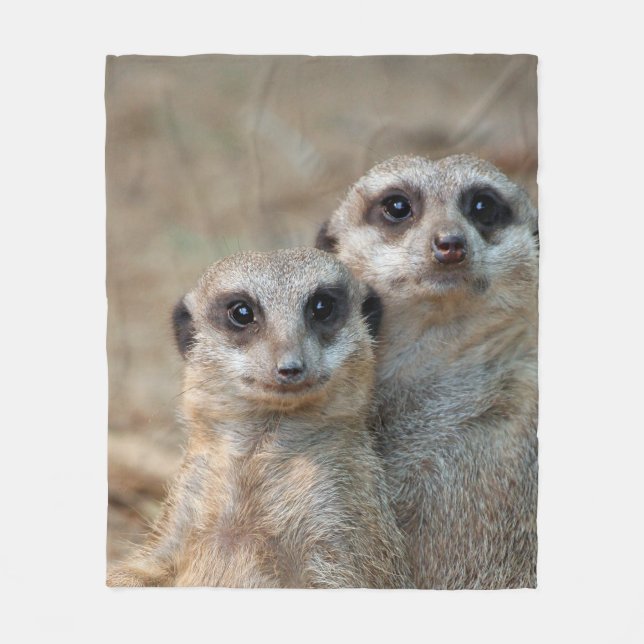 Couverture Polaire Meerkat 047 (Devant)