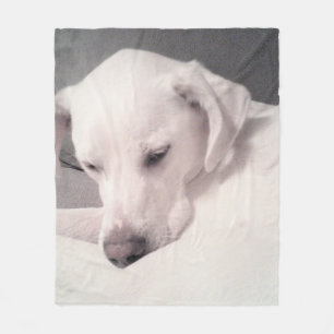 Couverture Polaire Mélange blanc labrador Mix chien gris moyen