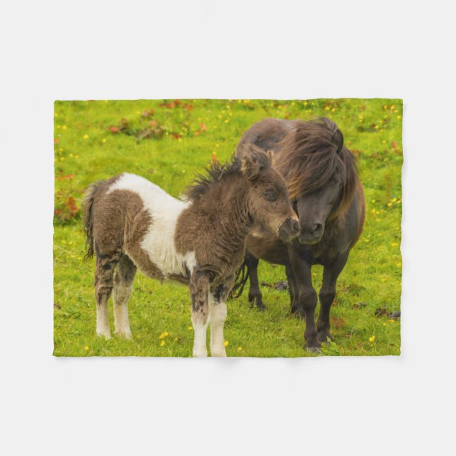 Couverture Polaire Mère et progéniture de poney Shetland (Devant (Horizontal))