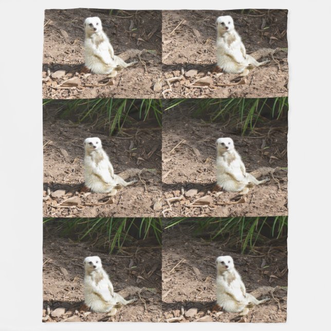 Couverture Polaire Modèle en nature : Posing Meerkat blanc pour camér (Devant)