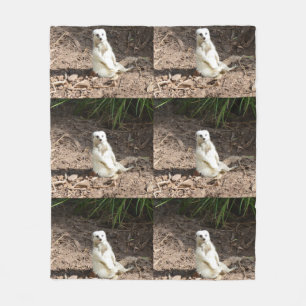 Couverture Polaire Modèle en nature : Posing Meerkat blanc pour camér