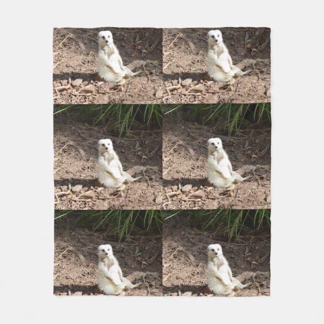 Couverture Polaire Modèle en nature : Posing Meerkat blanc pour camér (Devant)