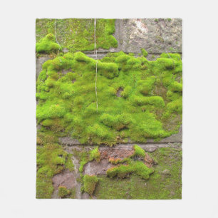 Couverture Polaire Moss wall green rock texture