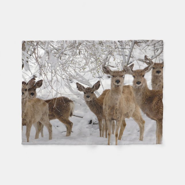 Couverture Polaire Mule Deer Wyoming (Devant (Horizontal))