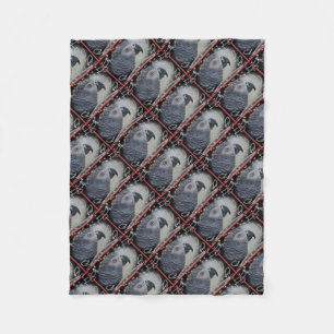 Couverture Polaire Noël de Milou de gris africain