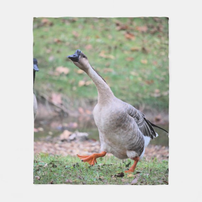 Couverture Polaire Oie sotte (Devant)