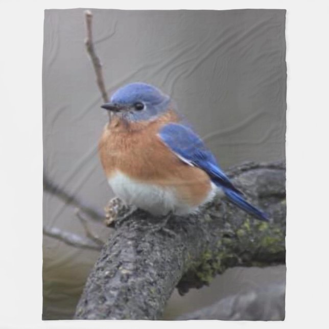 COUVERTURE POLAIRE OISEAU BLEU (Devant)