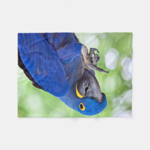 Couverture Polaire Oiseau d'ara de jacinthe