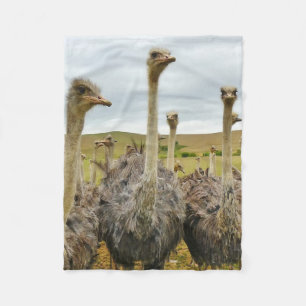 Couverture Polaire Oiseau d'autruche