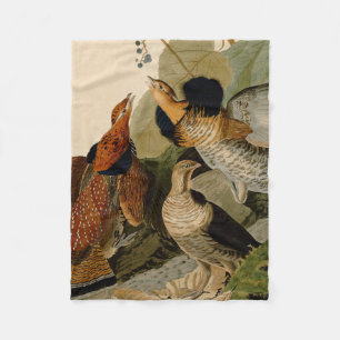 Couverture Polaire Oiseau de gibier Audubon