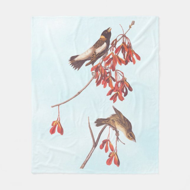Couverture Polaire Oiseaux de brume de riz d'Audubon ou oiseaux Bobol (Devant)