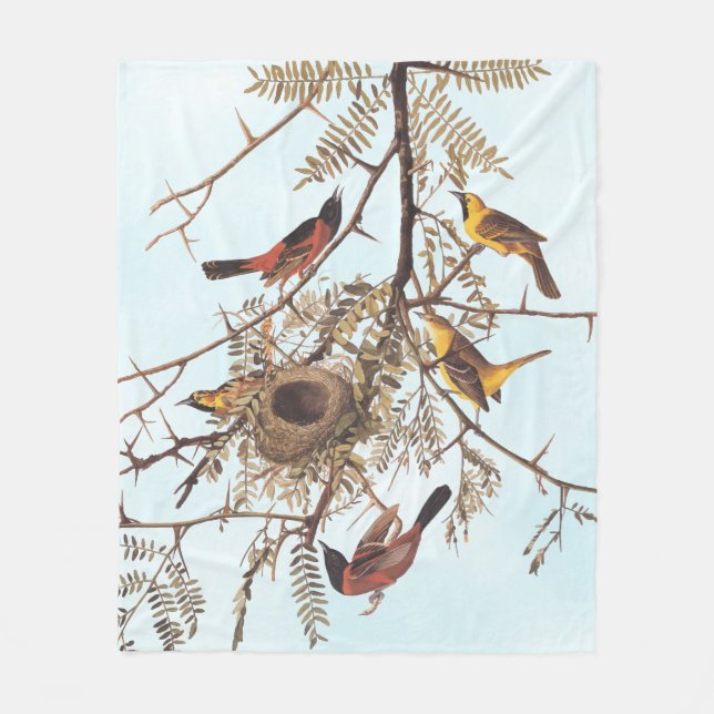 Couverture Polaire Oiseaux d'oriole du verger d'Audubon dans un criqu (Devant)