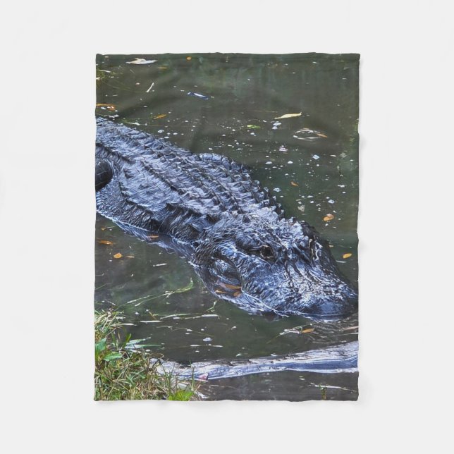 Couverture Polaire Ombre dans les Hauts-Fonds (Devant)