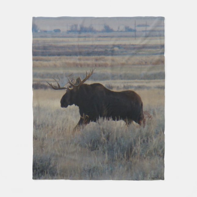 Couverture Polaire Orignal mâle M2 dans les Prairies (Devant)