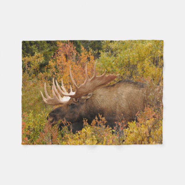Couverture Polaire Orignal | Parc national de Denali, Alaska (Devant (Horizontal))