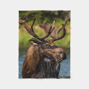 Couverture Polaire Orignal   Parc national de Glacier Montana