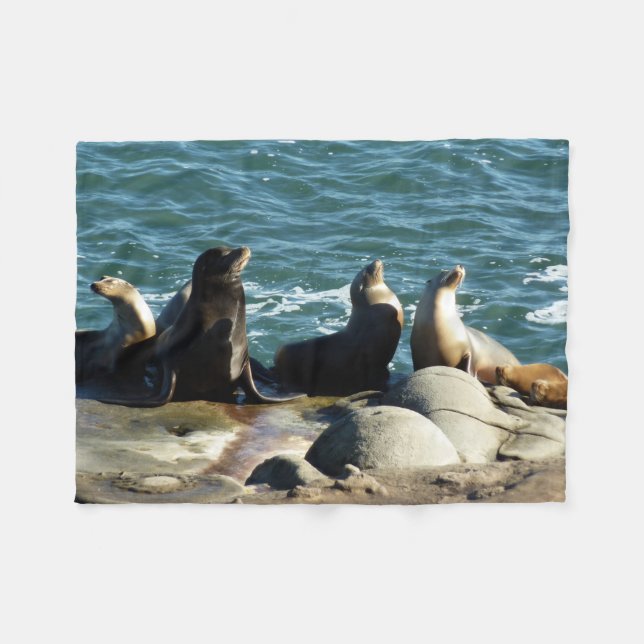 Couverture Polaire Otaries de San Diego (Devant (Horizontal))