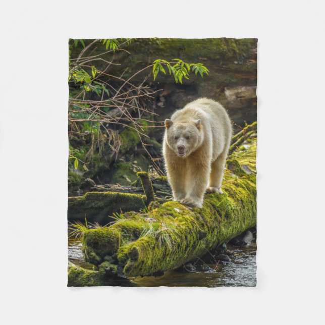 Couverture Polaire Ours blanc | Colombie-Britannique, Canada (Devant)