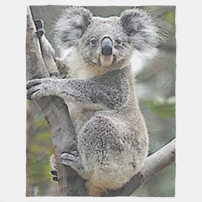 COUVERTURE POLAIRE OURS DE KOALA (Devant)