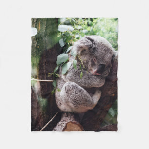 Couverture Polaire Ours de koala mignon détendant dans un arbre