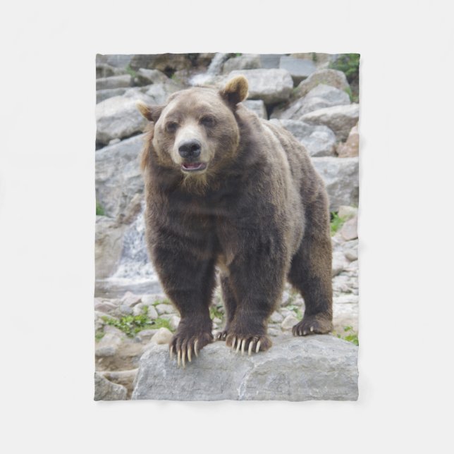 Couverture Polaire Ours kodiak (Devant)