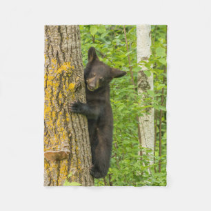 Couverture Polaire Ours noir jeune Minnesota