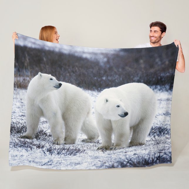 COUVERTURE POLAIRE OURS POLAIRES (En situation)