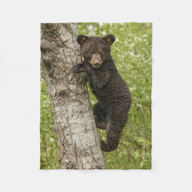 Couverture Polaire Ourson noir dans un arbre (Devant)
