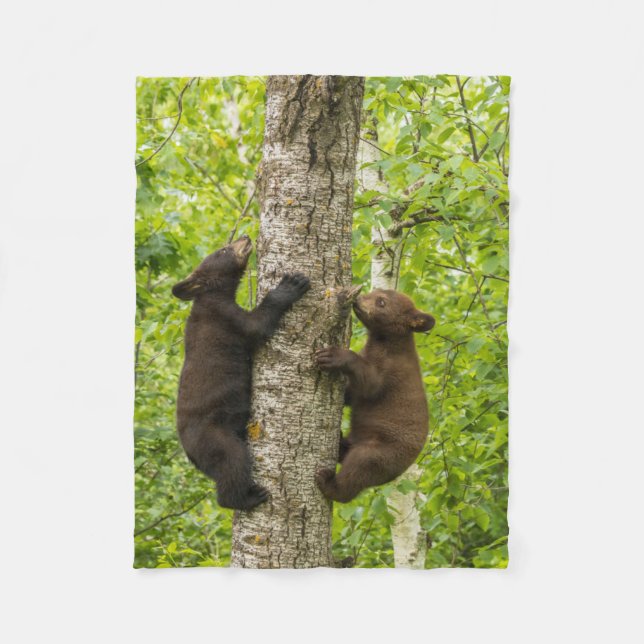 Couverture Polaire Oursons de l'ours noir grimpant à l'arbre (Devant)