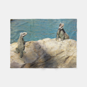 Couverture Polaire Paire de Iguanas Photographie de la faune tropical