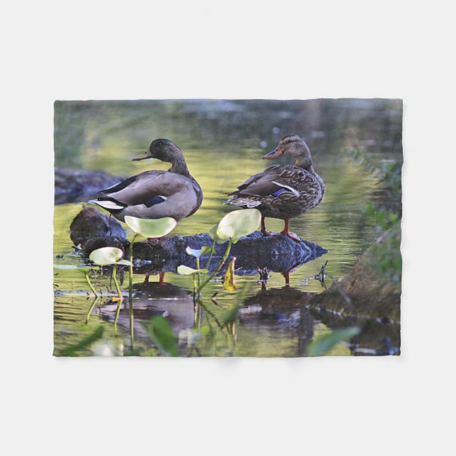 Couverture Polaire Paires de canard de Mallard (Devant (Horizontal))
