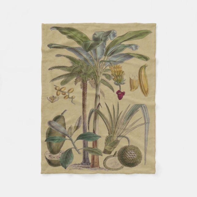 Couverture Polaire Palm Antique Fruit Tropical Art Botanique (Devant)