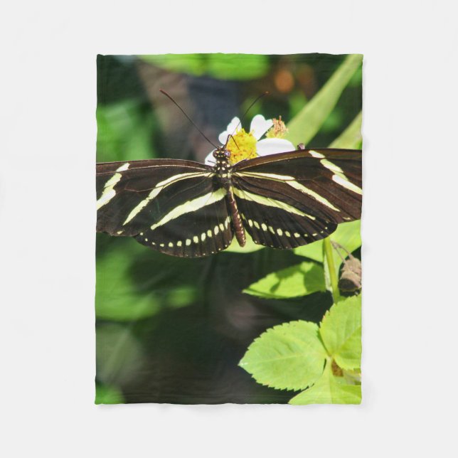 Couverture Polaire Papillon Heliconius charithonia (Devant)