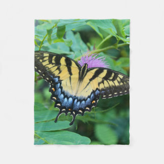 Couverture Polaire Papillon swallowtail de l'Est