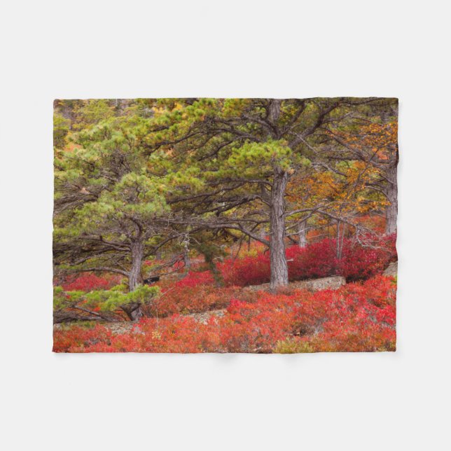 Couverture Polaire Parc national d'Acadia, Maine (Devant (Horizontal))