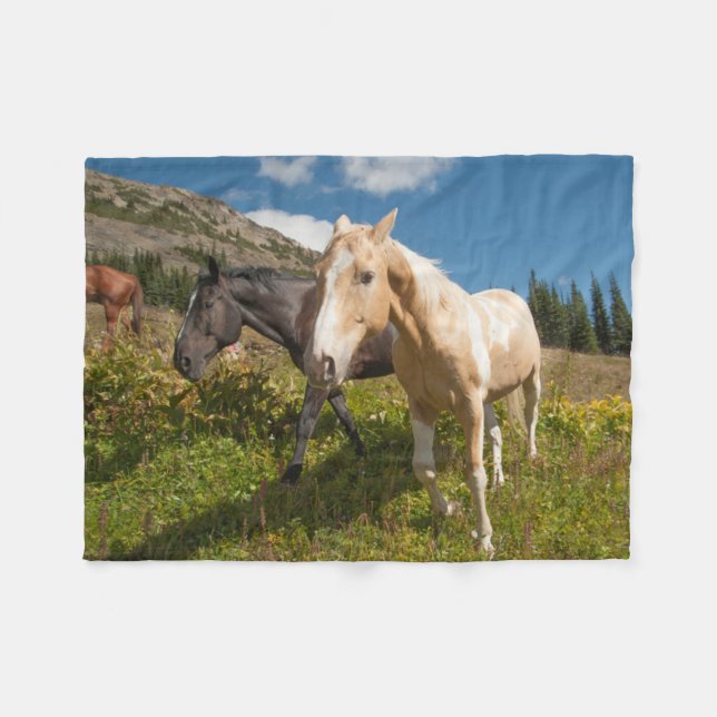Couverture Polaire Parc national des North Cascades (Devant (Horizontal))