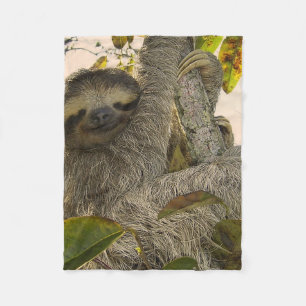 Couverture Polaire paresse