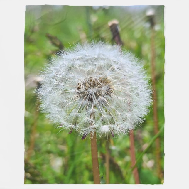 Couverture Polaire Parfaite dent-de-lion – Photographie botanique mac (Devant)