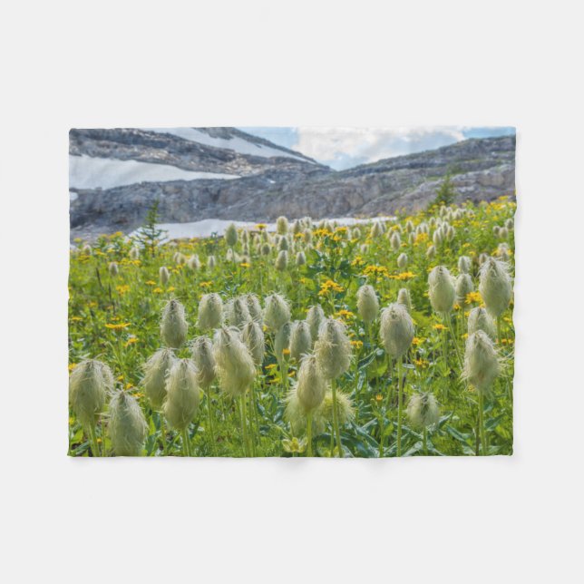 Couverture Polaire Pasqueflower occidental | Monts East Kootenay (Devant (Horizontal))