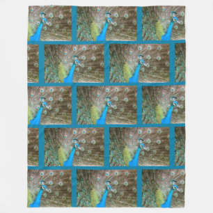 Couverture Polaire Peacock avec plumes fanées - Photo d'oiseaux sauva