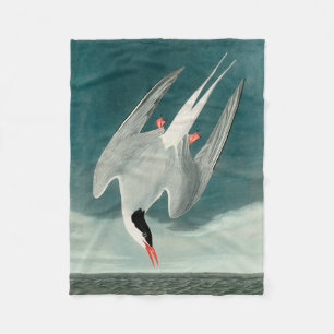 Couverture Polaire Peinture de la faune de la sterne de l'Arctique Au