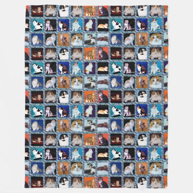Couverture Polaire peinture murale scottish fold (Devant)